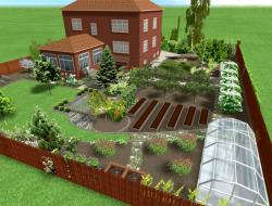 Features of the garden, lawn and vegetable garden