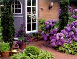 How to decorate a front garden: photos and arrangement ideas