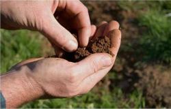 Merencanakan pondok musim panas 10 hektar dengan tangan Anda sendiri: saran ahli