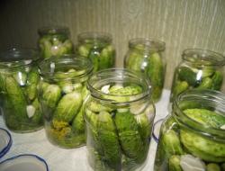 Uhorky ako jemne solené (bez sterilizácie) Veľké uhorky na zimný recept so škoricou