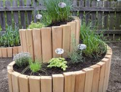 DIY garden ideas with photos and descriptions