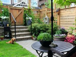Front garden in front of the house: design ideas and DIY decoration